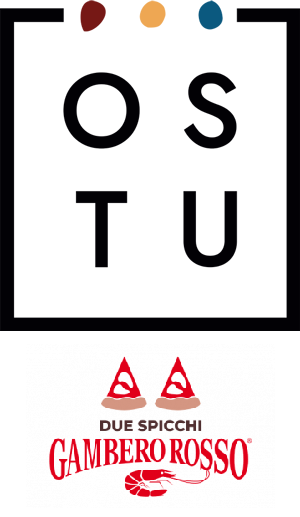 Logo_OSTU-regular